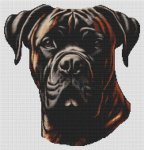 (image for) Brindle Bullmastiff